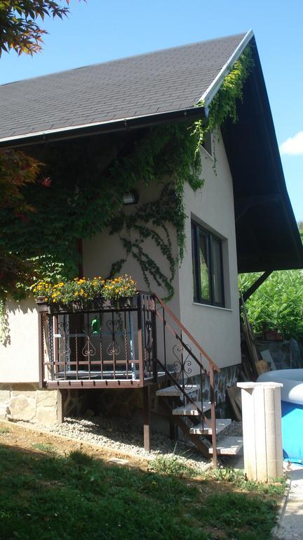 Wine & Nature & Tour Zgornji Leskovec Buitenkant foto