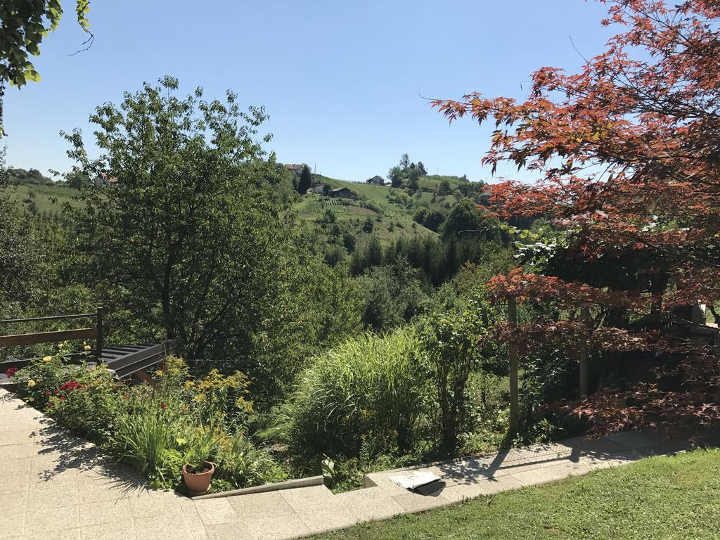 Wine & Nature & Tour Zgornji Leskovec Buitenkant foto