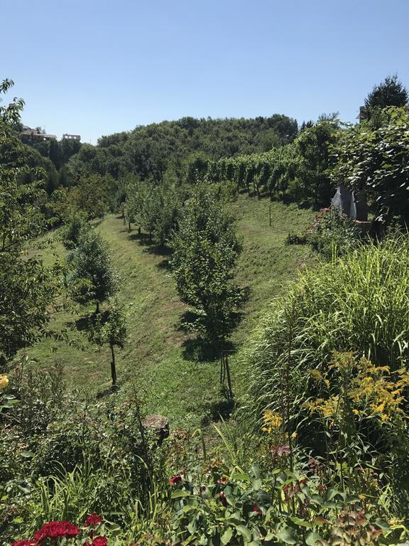 Wine & Nature & Tour Zgornji Leskovec Buitenkant foto