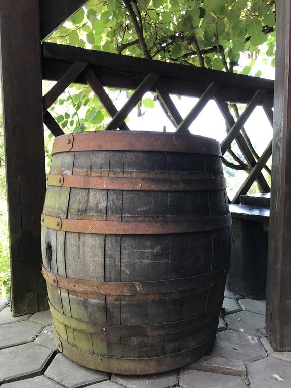 Wine & Nature & Tour Zgornji Leskovec Buitenkant foto