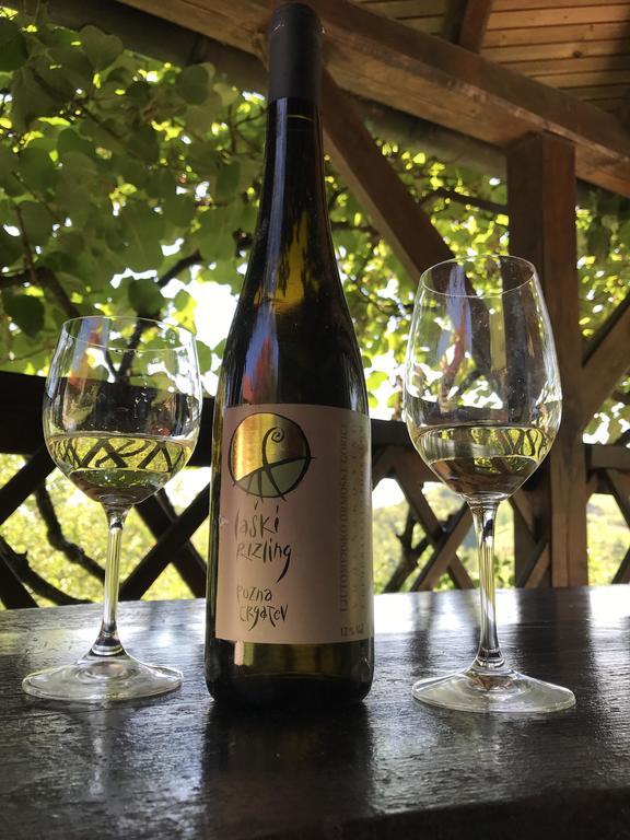 Wine & Nature & Tour Zgornji Leskovec Buitenkant foto