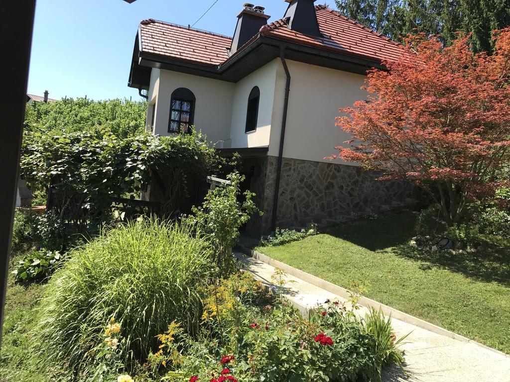 Wine & Nature & Tour Zgornji Leskovec Buitenkant foto